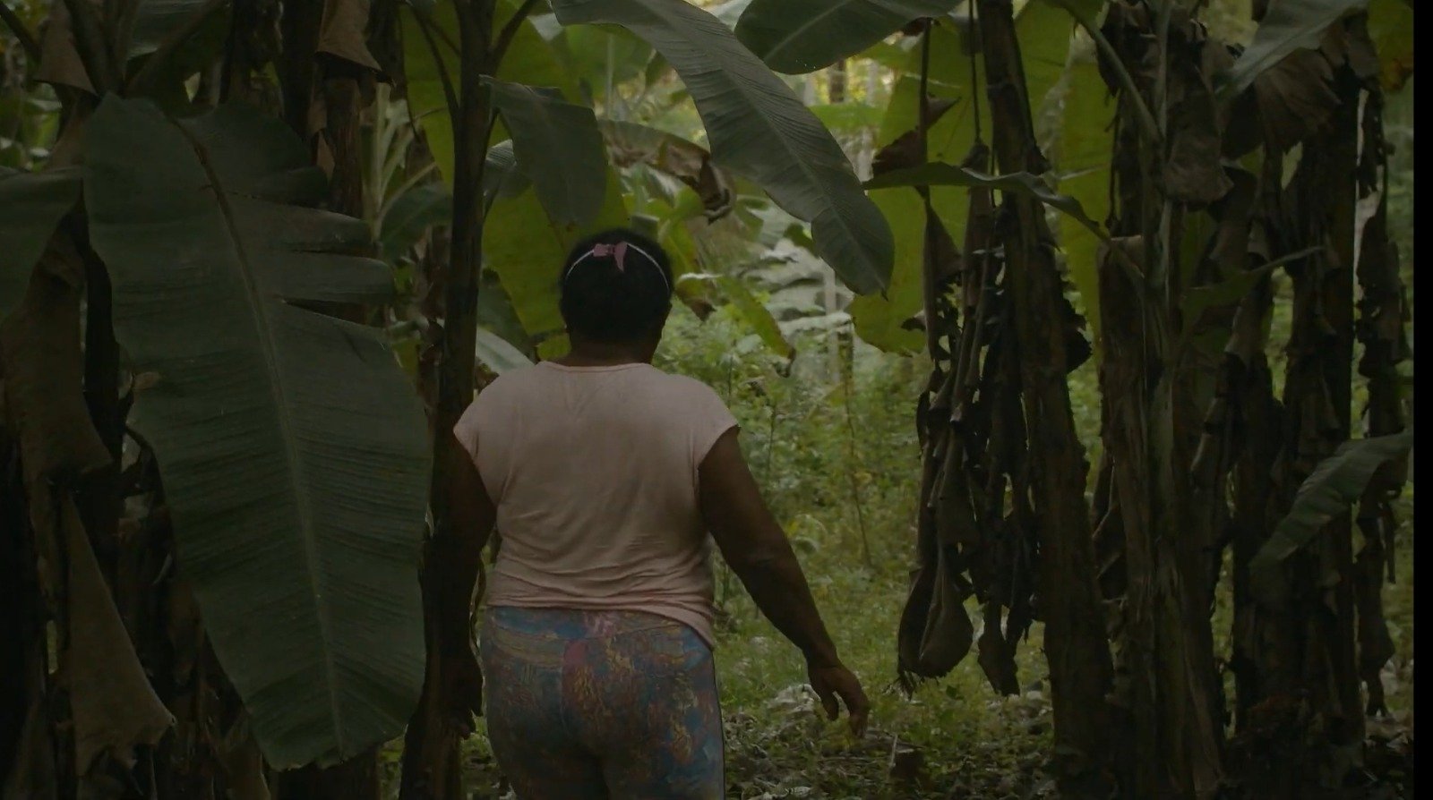 Terra, Território e Afeto